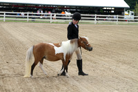 4-H Horse & Pony Monday DR