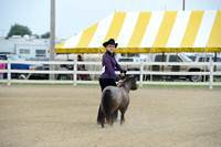 4-H Horse & Pony Western Perf. (Renee) Sunday